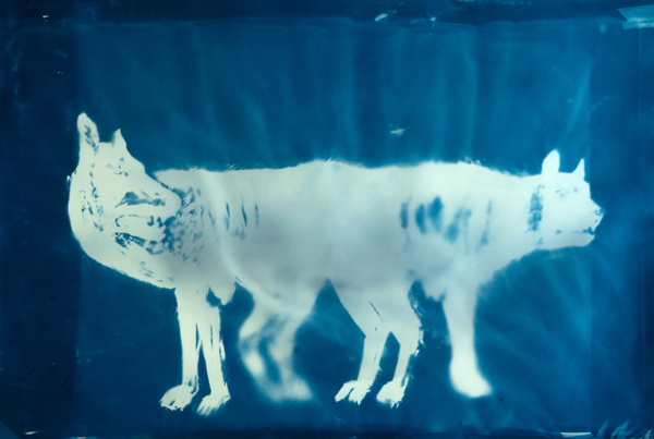 MANDEL24-top-project02